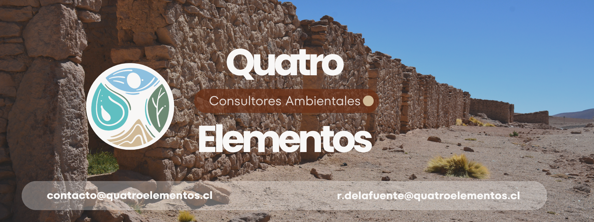 elementos desierto flores (5)