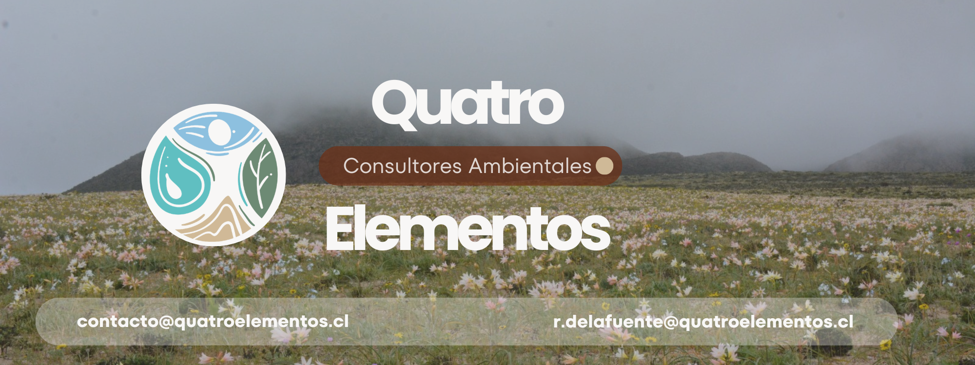 elementos desierto flores (6)