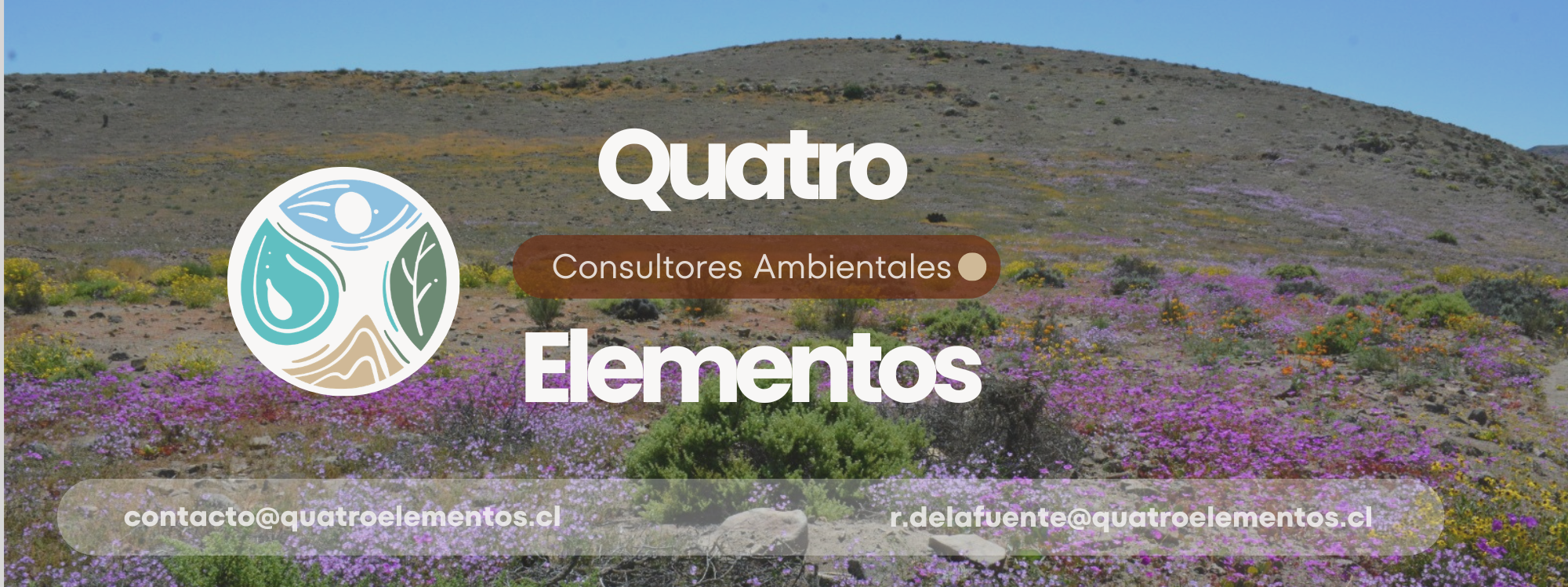 elementos desierto flores (7)