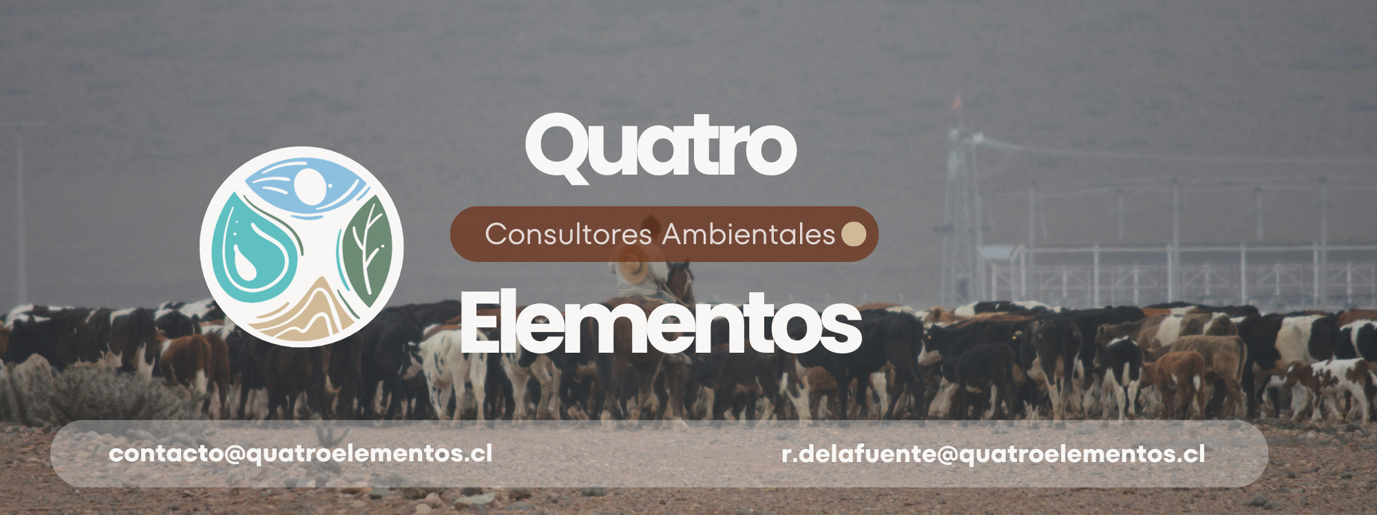 elementos desierto flores (9)