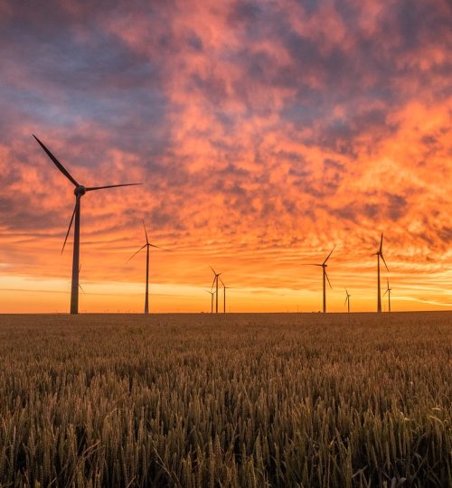 windmills, fields, sunset, clouds, sky, cloudsscape, dusk, twilight, wind turbines, renewable energy, horizon, wind power, wind energy, alternative energy, green energy, field, nature, sunrise
